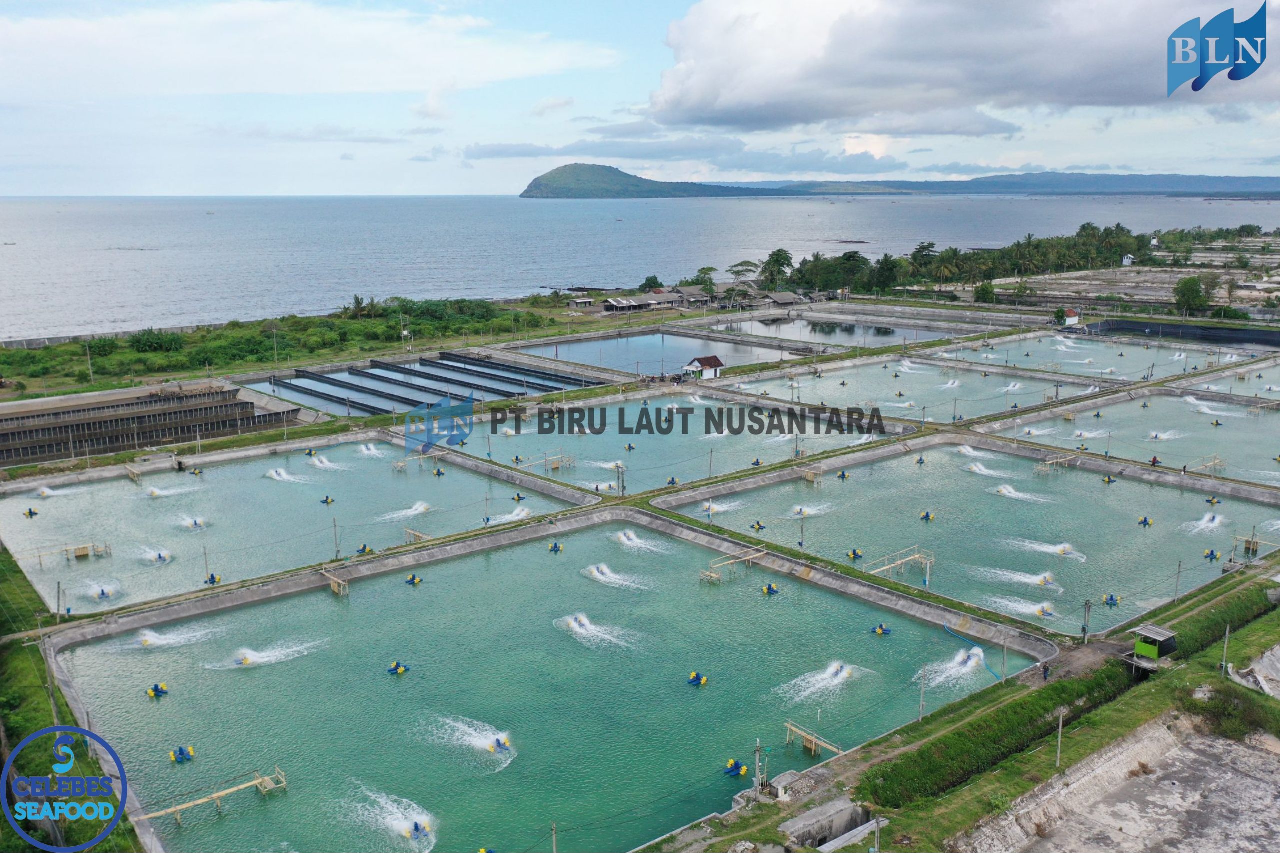 The Role of Physical and Chemical Water Parameters in Determining Shrimp Productivity in Traditional Ponds